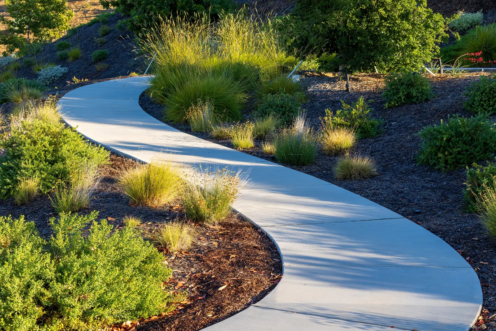 concrete sidewalk frisco