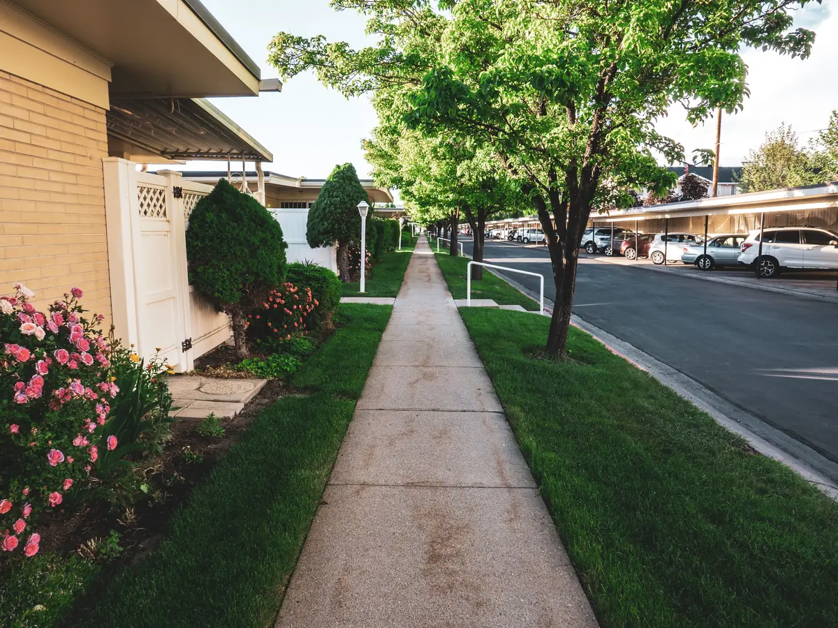 A jointed concrete front walk running between a lawn and a residential street